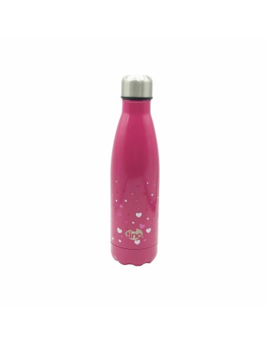 Hot & Cold Water Bottle