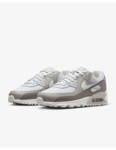 Nike Air Max 90 shoes for men.