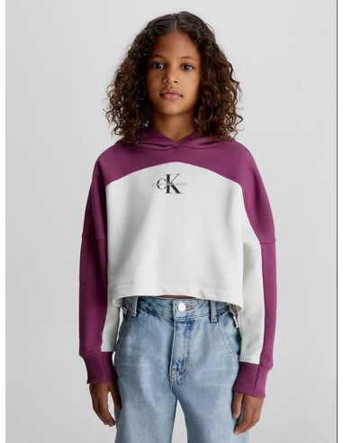 Boxy Color Block Sweatshirt With Logo And Hood